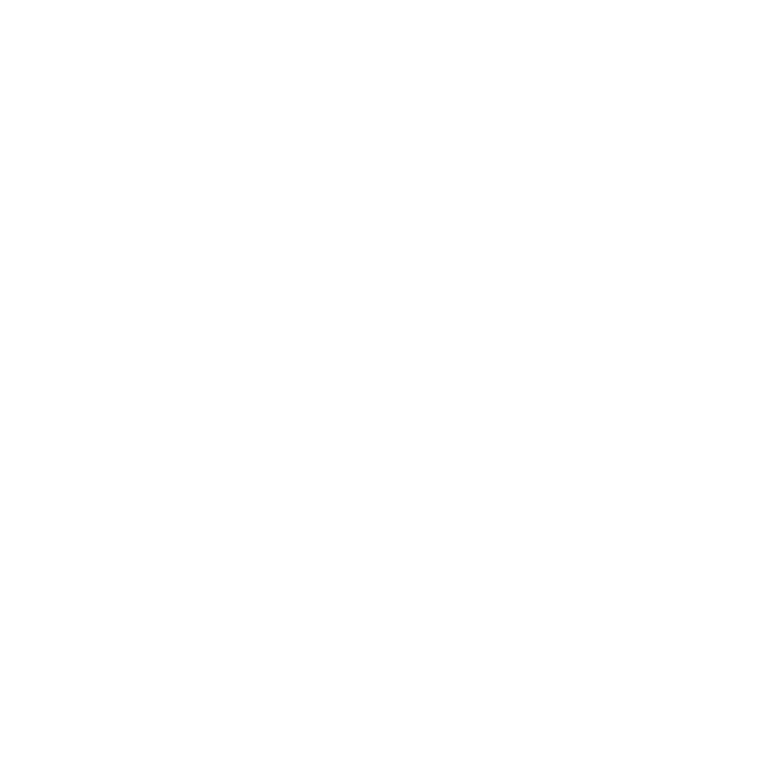 A lightening bolt icon